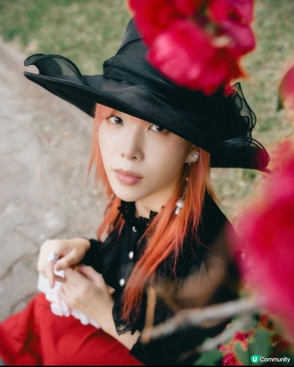 玫瑰🌹季！水原華城！
