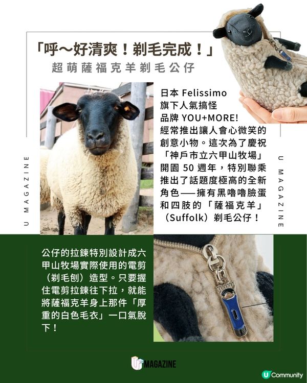 日本神戶六甲山牧場50週年紀念！推出超萌「薩福克羊剃毛公仔」