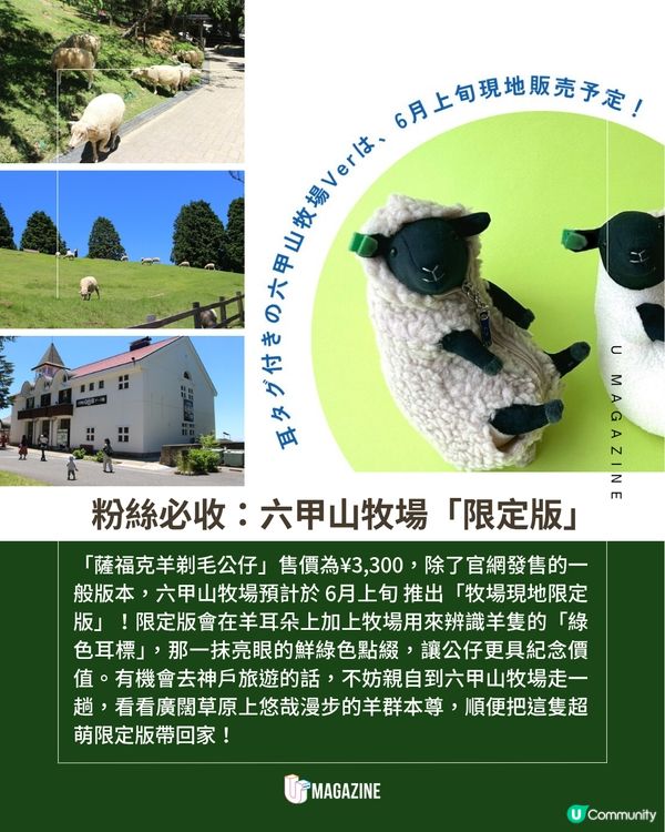 日本神戶六甲山牧場50週年紀念！推出超萌「薩福克羊剃毛公仔」