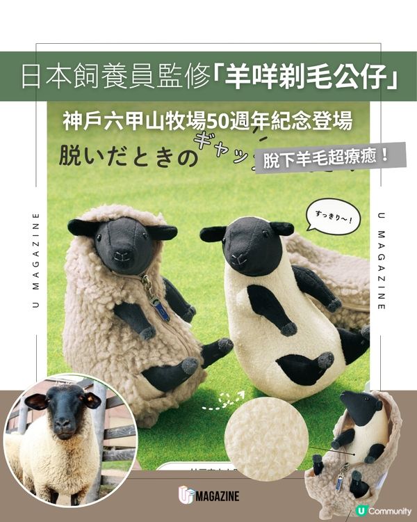 日本神戶六甲山牧場50週年紀念！推出超萌「薩福克羊剃毛公仔」