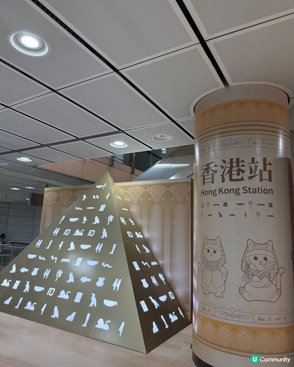 鐵仔 x 法老貓！埃及奇遇記！🤩 🐱