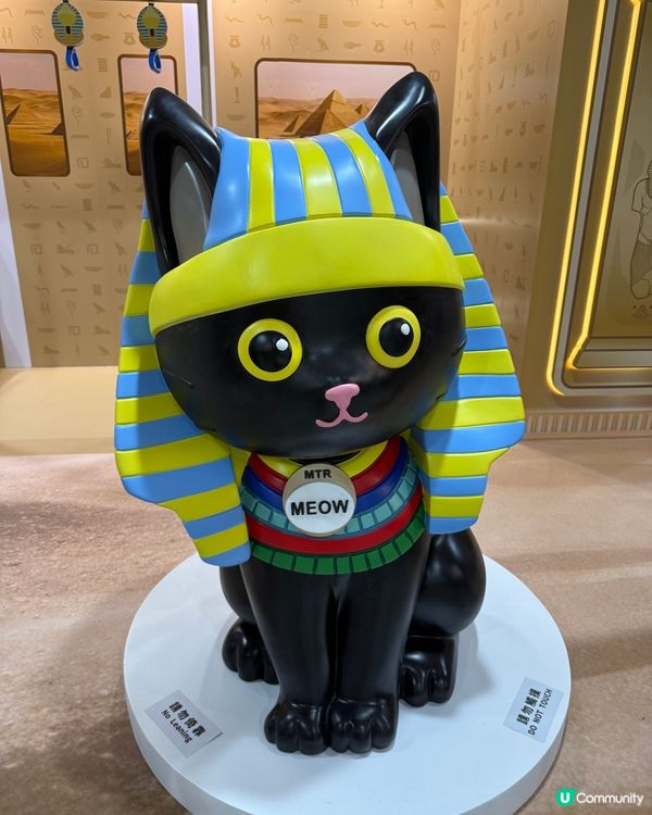 鐵仔 x 法老貓！埃及奇遇記！🤩 🐱