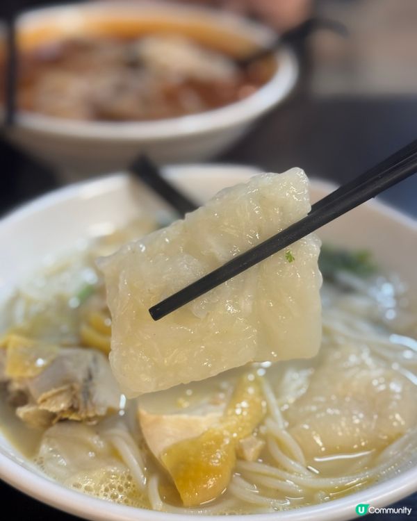 環境舒服🤤 必試花膠雞米線🍲