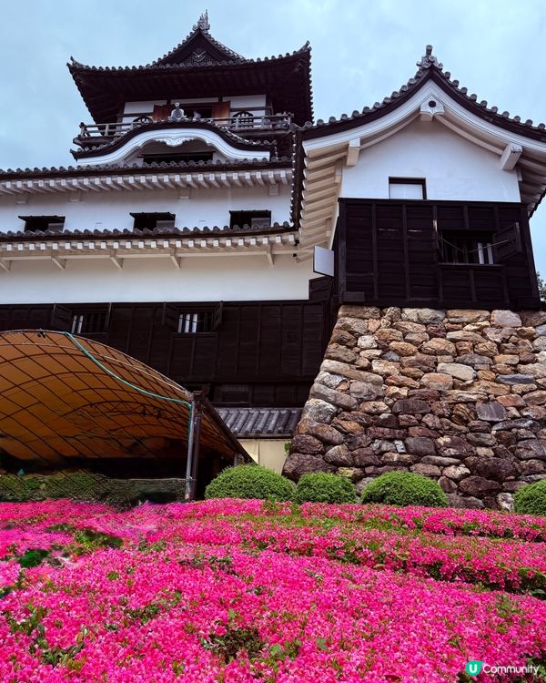 日本犬山城