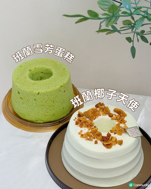 召集全港班蘭控🙋🏻‍♀️