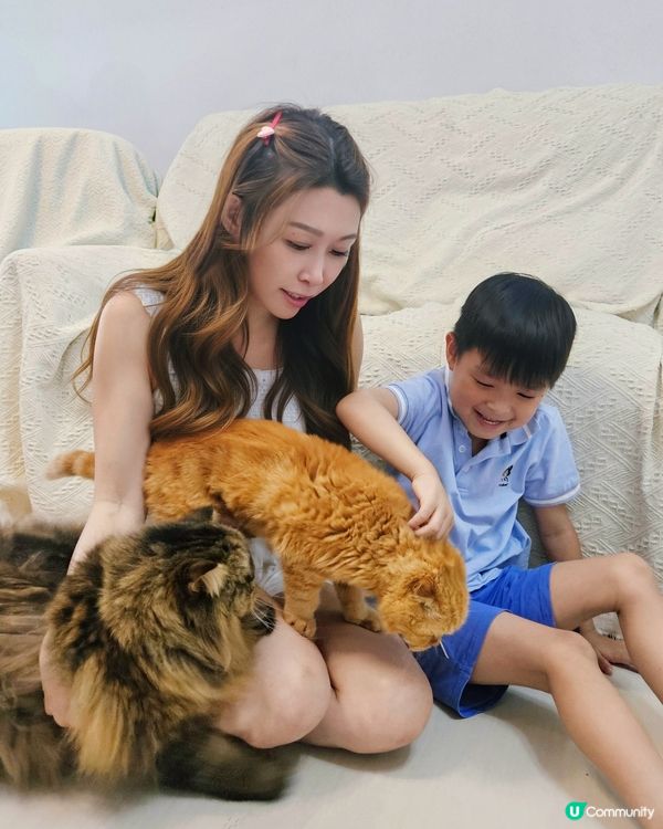 屋企有養咗 3 隻貓 🐱🐱🐱，有時屋企未打掃，太多貓毛就會攪...