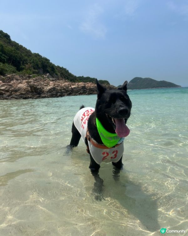 狗狗船P🏖️ 爽到飛起！🐕‍🦺💨