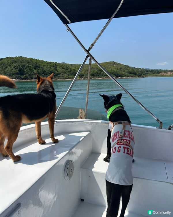 狗狗船P🏖️ 爽到飛起！🐕‍🦺💨