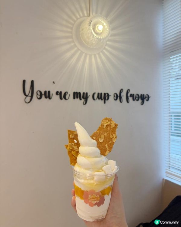 熱潮回歸! 🍦打卡必試 Froyo 乳酪雪糕! 🤩
