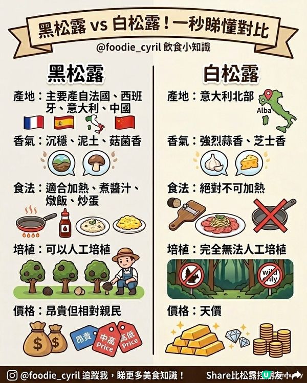 🍄 黑松露 vs 白松露！點解⚪️白松露貴咁多？
