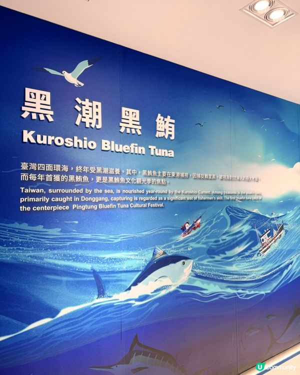 高雄機場嘅登機門好有趣！✈️