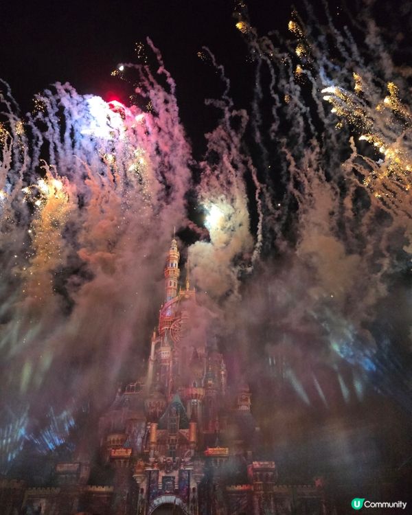 迪士尼20週年童心爆發！🤩🎡