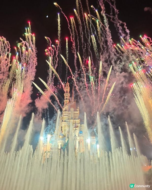 迪士尼20週年童心爆發！🤩🎡