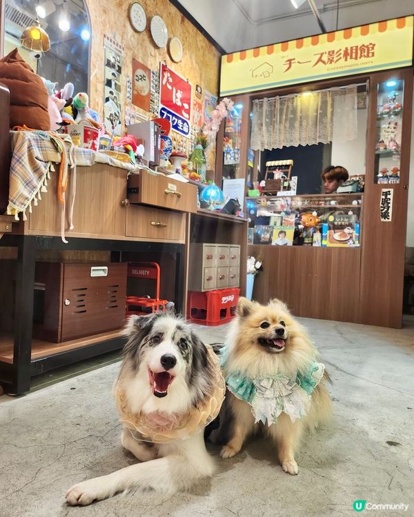 寵物便便都可以儲積分換獎品？