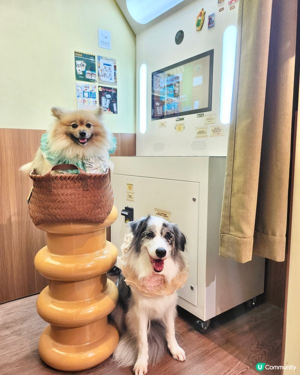 寵物便便都可以儲積分換獎品？