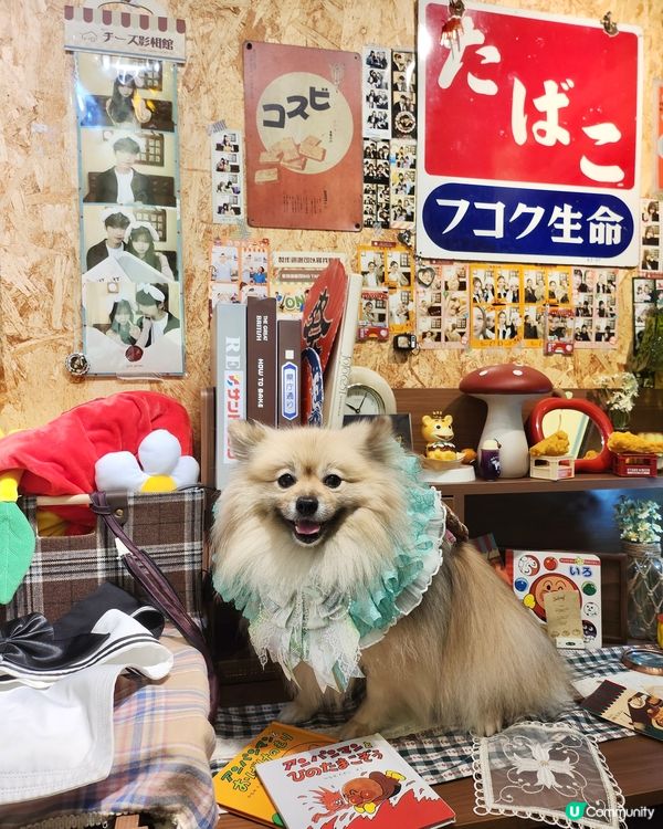 寵物便便都可以儲積分換獎品？