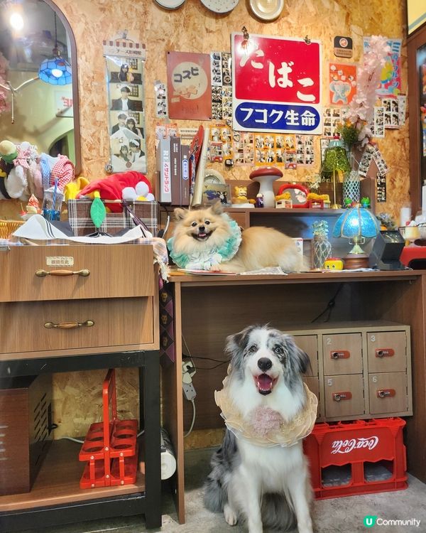 寵物便便都可以儲積分換獎品？