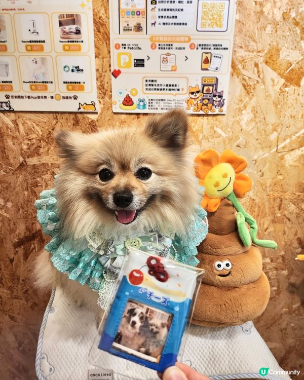 寵物便便都可以儲積分換獎品？