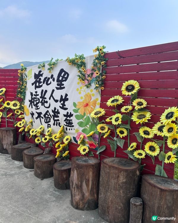 元朗信芯園