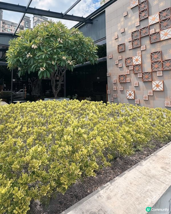 自然與現代美學的Starbucks分店