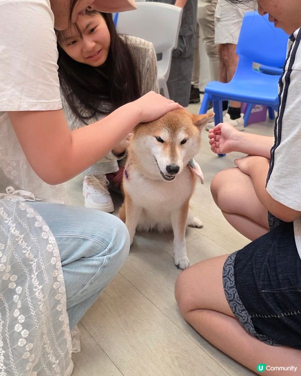 🐾 出動 ~ 社區探訪！無論係充滿活力嘅小朋友，定係童心未泯...