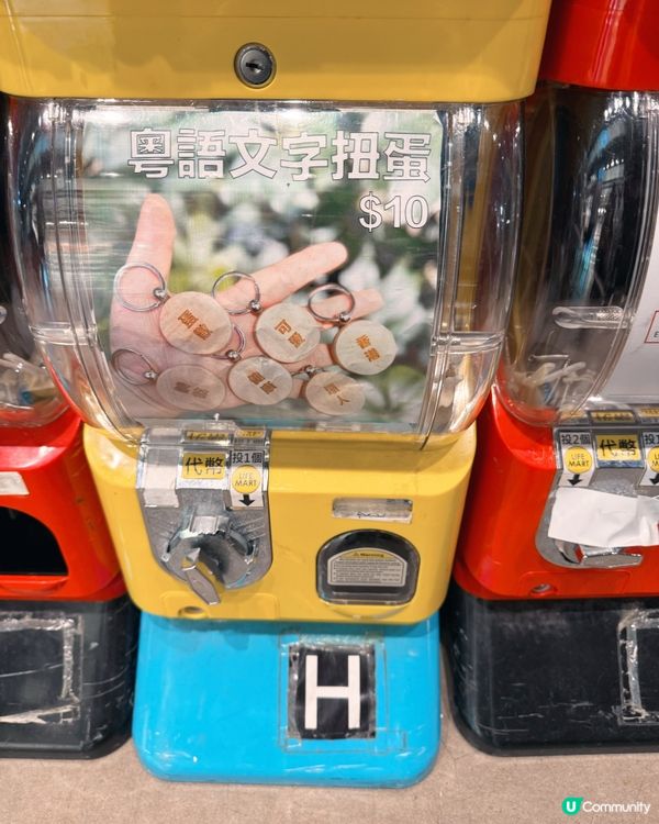 南豐紗廠亮點🥳 有免費接駁巴士啊🚌