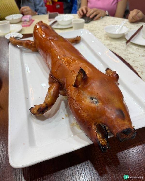 爆脆乳豬！必試蝦禾米釀😋