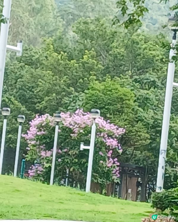 週末溜娃提案： 放電天花板！東涌北公園🥳