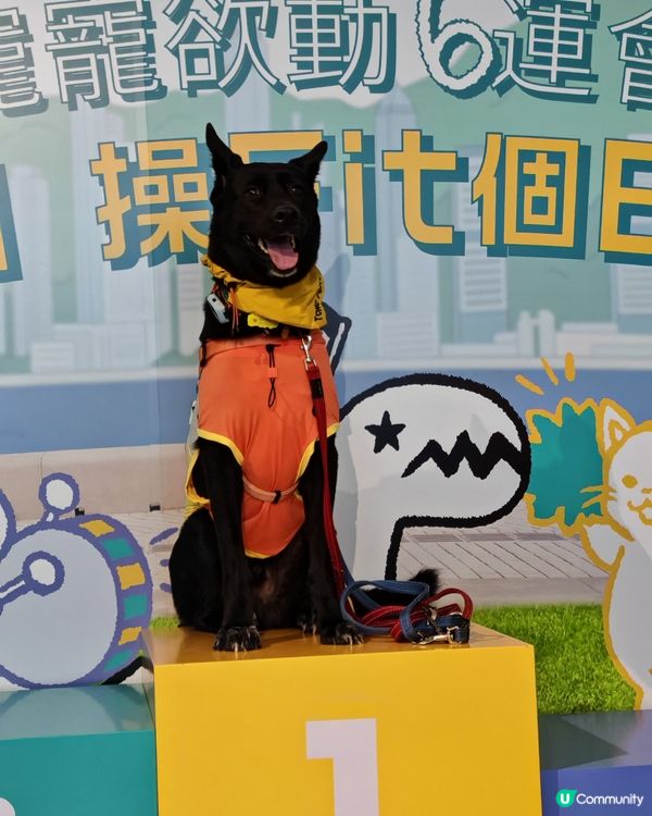 OneDegree6周年寵寵欲動6運會