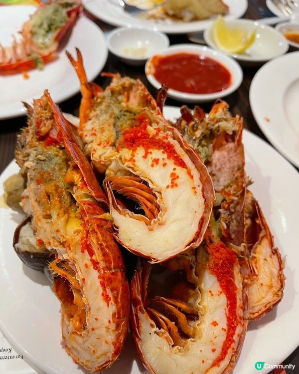 🚨龍蝦自由！食到回本啦！🦞