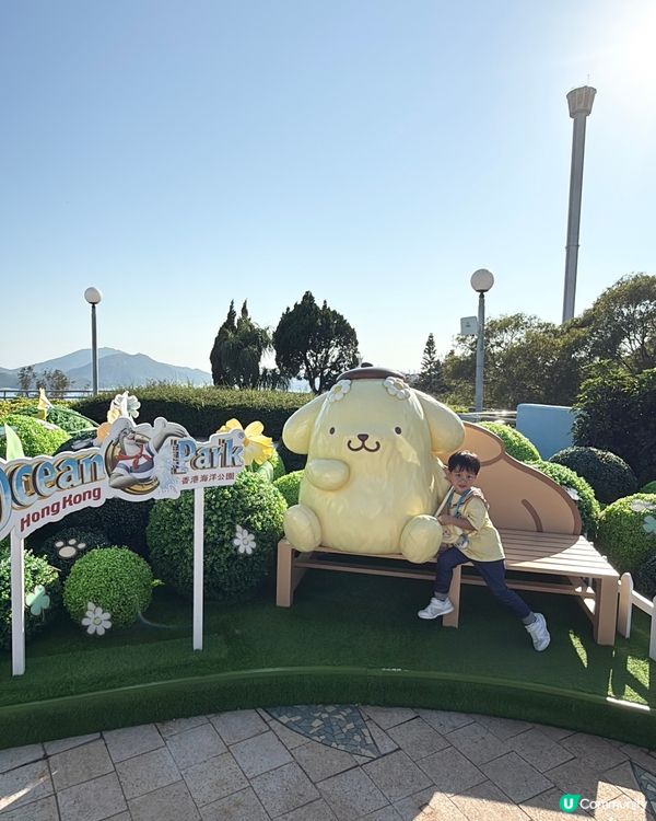 布甸狗登頂！30周年快閃打卡！🐶✨