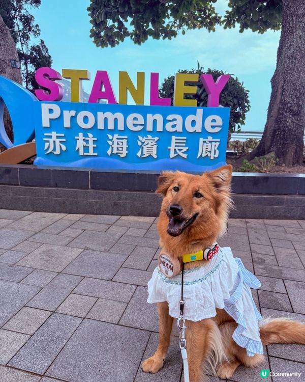 外國式生活😍赤柱慢活！手作📸打卡 🥰