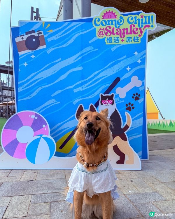 外國式生活😍赤柱慢活！手作📸打卡 🥰