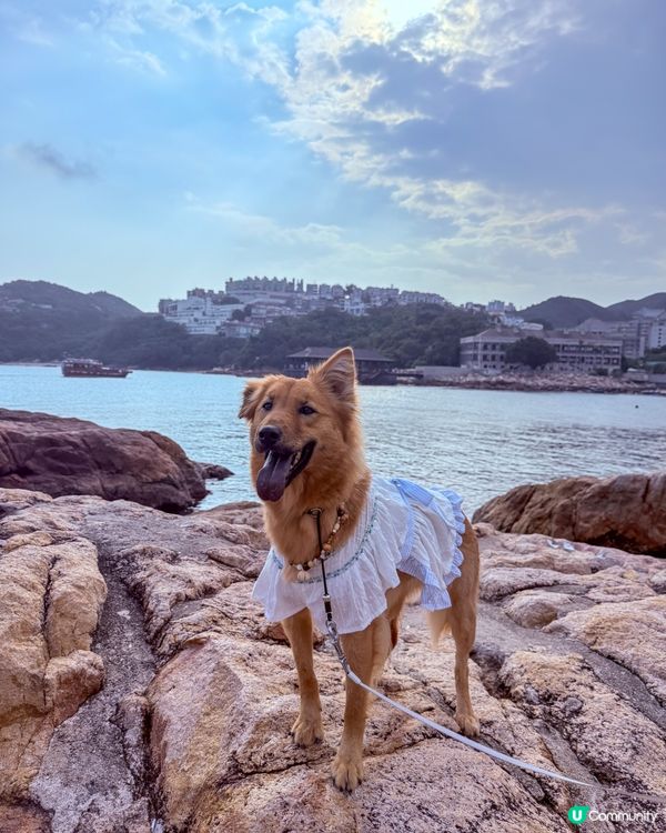 外國式生活😍赤柱慢活！手作📸打卡 🥰