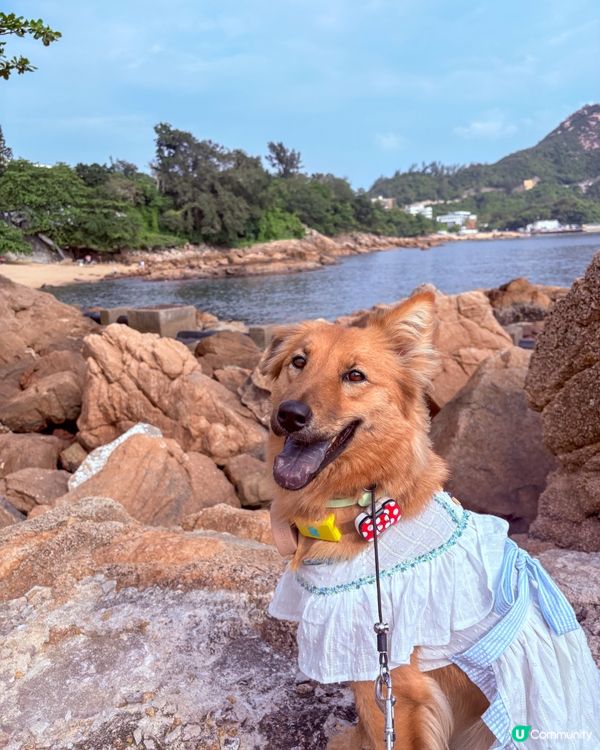 外國式生活😍赤柱慢活！手作📸打卡 🥰