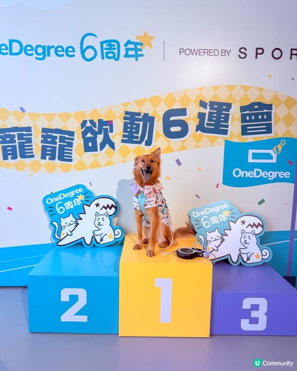 寵寵6運會🐶✨
