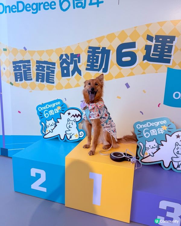 寵寵6運會🐶✨