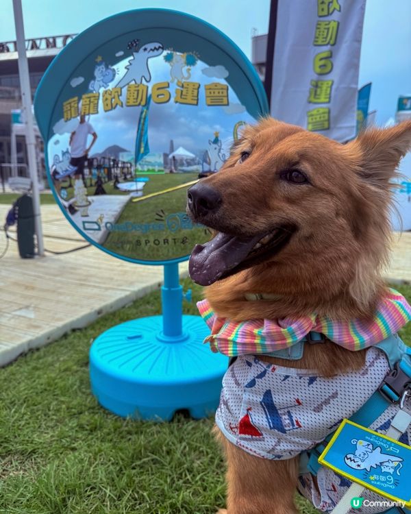 寵寵6運會🐶✨