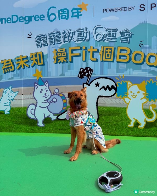 寵寵6運會🐶✨