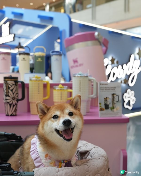 個人化雷射杯！靚住玩📸✨