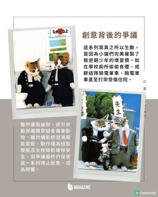 80年代「不良暴走貓」寫真再度爆紅｜零修圖純手工！街頭叛逆變世界級可愛                                                    