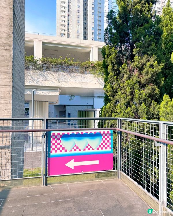 城市森林中的彩色驚喜