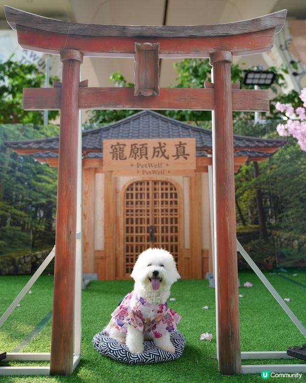 免費遊日！毛孩去咗日本祭 🇯🇵🐶