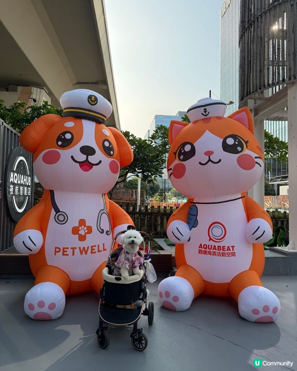 免費遊日！毛孩去咗日本祭 🇯🇵🐶