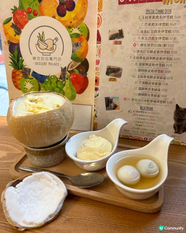 集貓星畫+甜品+貓星人的尖沙咀的糖宮