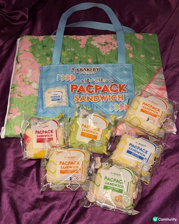 野餐套裝超吸晴！🤩🥪🍎