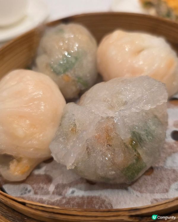 近期飲茶推介