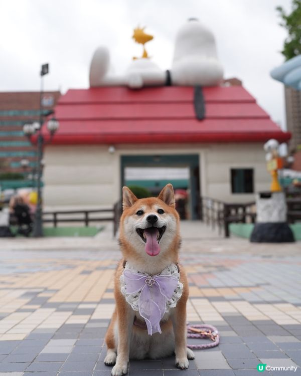 史努比開心世界😽