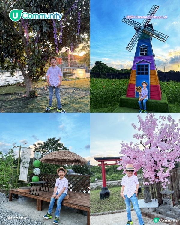 【親子好去處2026】香港8大親子農莊🌻餵食草泥馬／向日葵花海／自家製農場牛奶