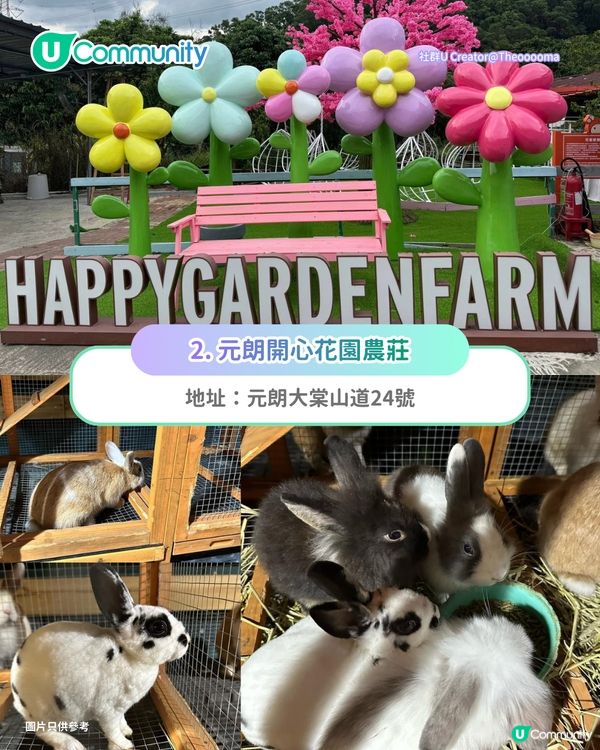 【親子好去處2026】香港8大親子農莊🌻餵食草泥馬／向日葵花海／自家製農場牛奶